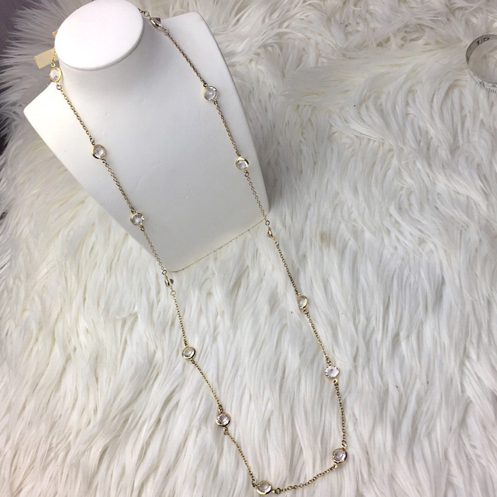 J. Crew Gold Chain CZ Long Necklace Costume